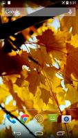 Autumn Video Wallpaper 海报