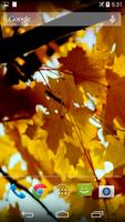 Autumn Video Wallpaper 截图 1