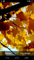 Autumn Video Wallpaper 截图 2