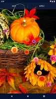 Autumn Flowers Live Wallpaper скриншот 3