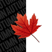 Autumn KWGT APK