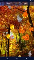 Autumn Leaves Live Wallpaper Ekran Görüntüsü 3