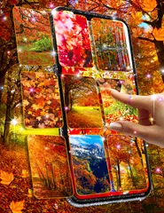 Autumn live wallpaper XAPK Herunterladen