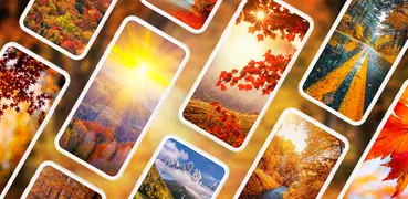 Herbst Hintergrundbilder 4K