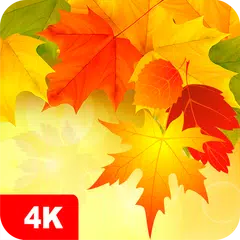 Autumn Wallpapers 4K APK download