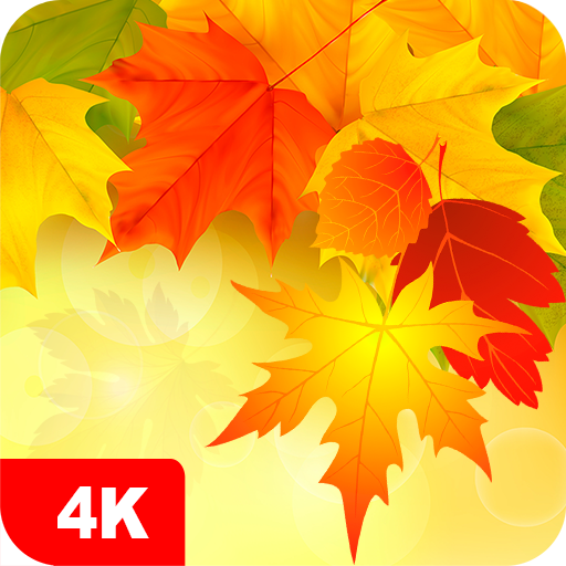 Fondos de pantalla de otoño 4K