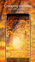 برنامه‌نما Autumn Wallpapers 4K عکس از صفحه