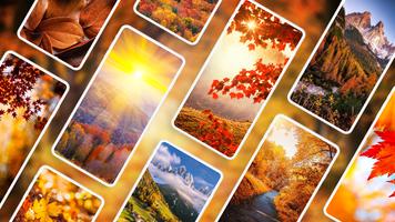 Herbst Hintergrundbilder 4K Plakat
