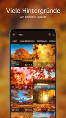 Herbst Hintergrundbilder 4K XAPK Herunterladen