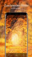 Herbst Hintergrundbilder 4K Screenshot 3