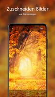 Herbst Hintergrundbilder 4K Screenshot 3