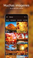 Fondos de pantalla de otoño 4K captura de pantalla 1