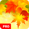 Autumn Wallpapers PRO APK