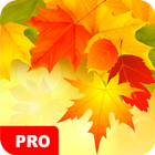 Autumn Wallpapers PRO आइकन
