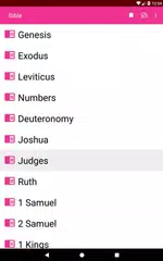 Descargar XAPK de Audio Bible Standard Version