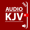 KJV Audio - Pro APK