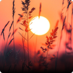 Relaxing Wallpapers أيقونة