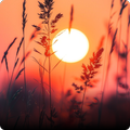 Relaxing Wallpapers