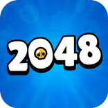 Brawl 2048