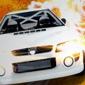 RALLY CHAMP