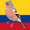 Birds of Colombia (Guide) APK