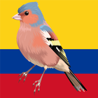 Oiseaux de Colombie (Guide) icône