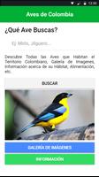Oiseaux de Colombie (Guide) Affiche