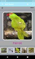 Bird Sounds screenshot 2