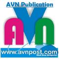 AVNPost