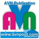 AVNPost