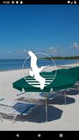 Pelican Landing Cartaz