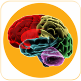 Brain Foods biểu tượng