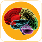 BRAIN BOOSTING FOODS-icoon