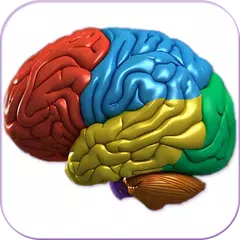 3D Human Brain XAPK download