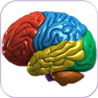 3D Humain Cerveau icône