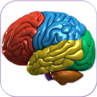 3D Human Brain icon