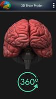 3D Humain Cerveau Affiche