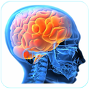 Smart Brain APK