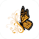 Chio Chio San | Баку