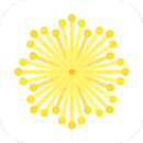 Mimosa Flowers | Баку APK