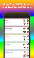 Kids' World of Animals-poster