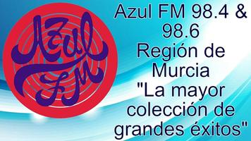 Azul FM 98.4 & 98.6 captura de pantalla 3