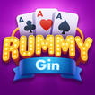 Rummy Gin icon