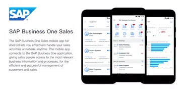 SAP Business One Sales
