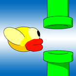 Zıplayan Kuş (Flying Bird)