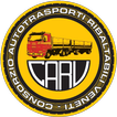 CarvApp icon