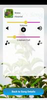 Nature's Song Full スクリーンショット 3