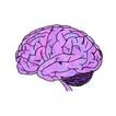 Mr. Mind icon