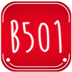 B501