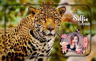 Cheetah Photo Editor Poster